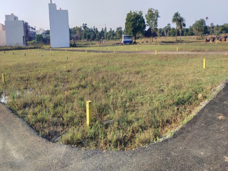 Sri Lake Gardens