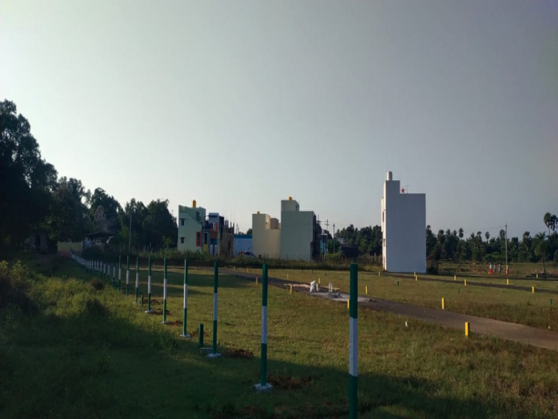 Sri Lake Gardens