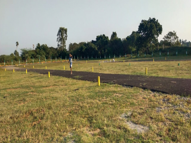 Sri Lake Gardens