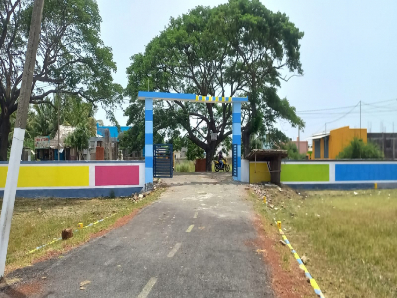 Premier MM Garden