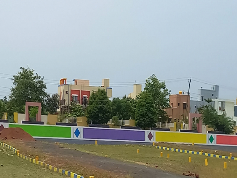 Premier MM Garden