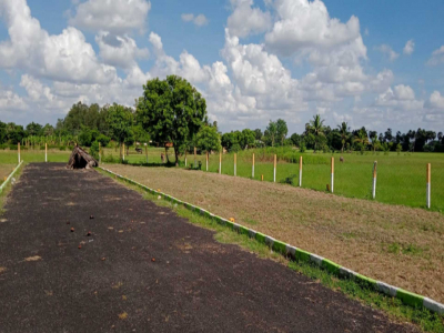 600 -  Sqft Land for sale in Thiruninravur