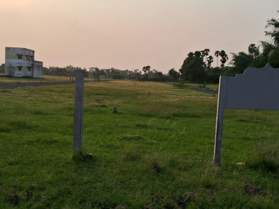 Sai Garden