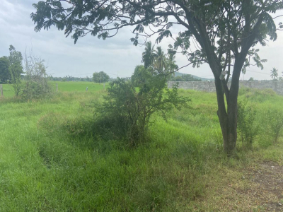 2586 - 2819 Sqft Land for sale in Manimangalam