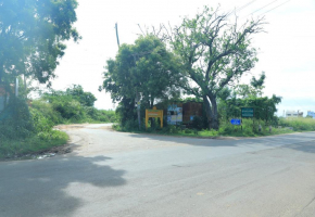 Gokulam Nagar