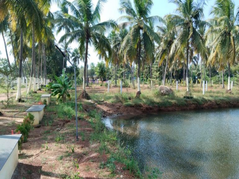 The Country Village Farmland