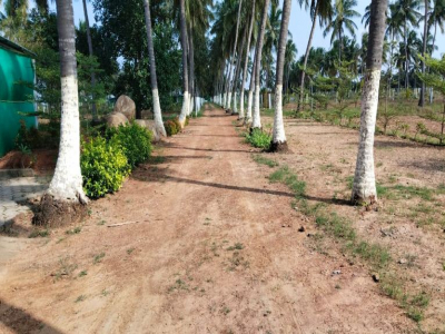10000 -  Sqft Land for sale in Chengalpet