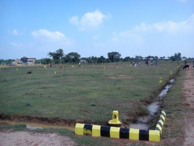 1000 - 3682 Sqft Land for sale in Kanchipuram