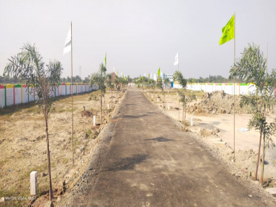 Siva Garden
