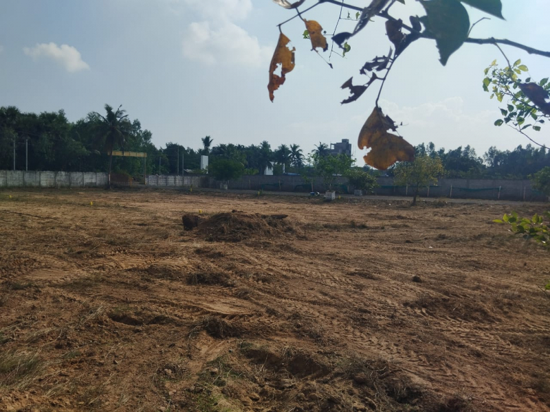 Pannai SSS Garden