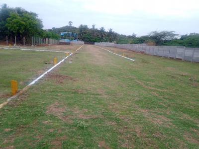 646 -  Sqft Land for sale in Urapakkam