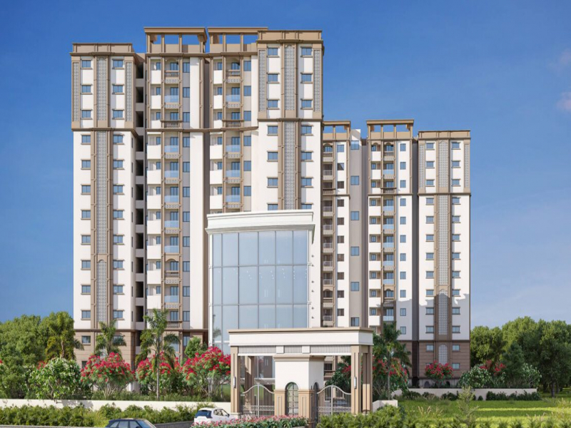 Pavani North Star