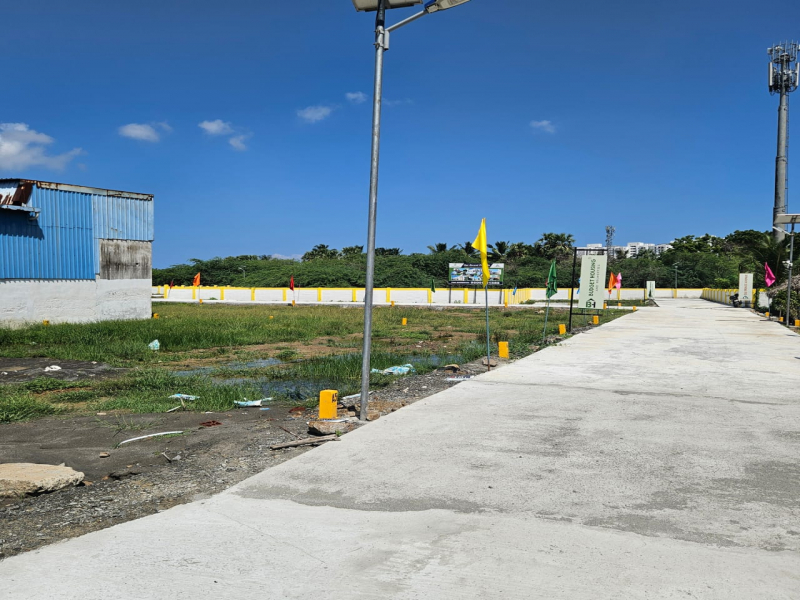 Budget Sai Prince Avenue