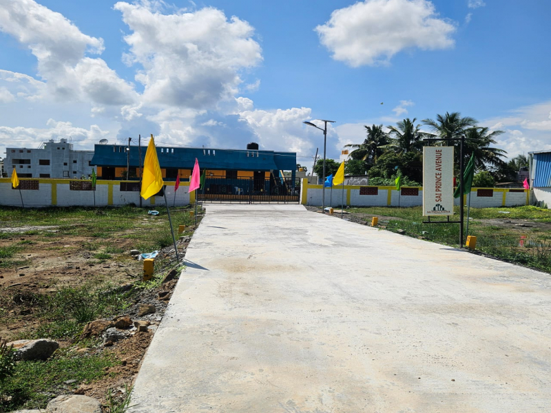 Budget Sai Prince Avenue