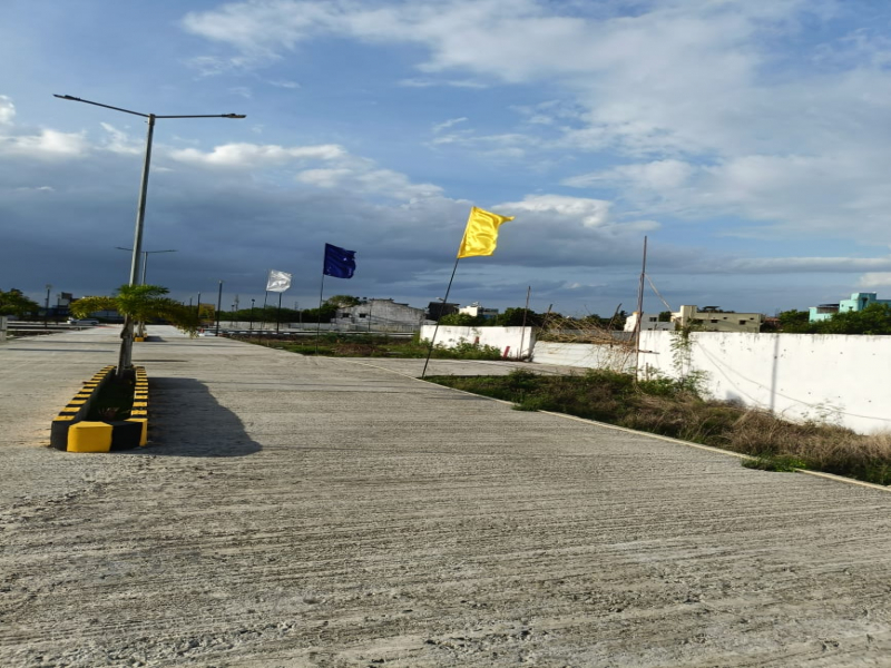 S Realty Aranmanai