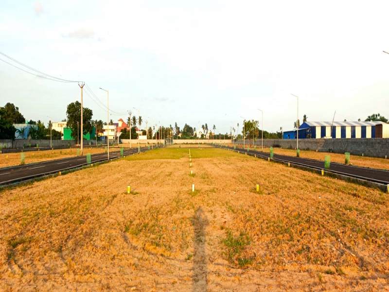 Chaitanya Avenue