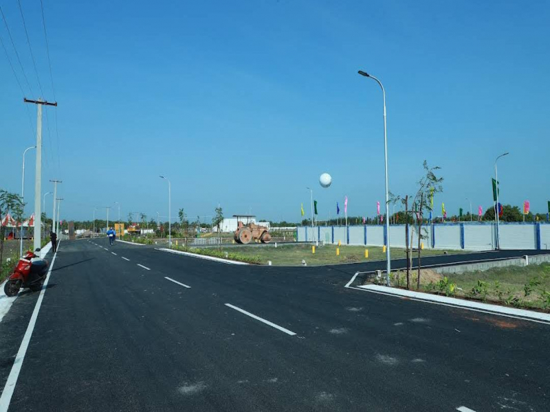 ABIs Monarch Phase 3