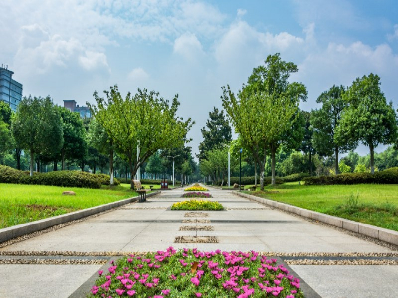 Vikas Royal Enclave