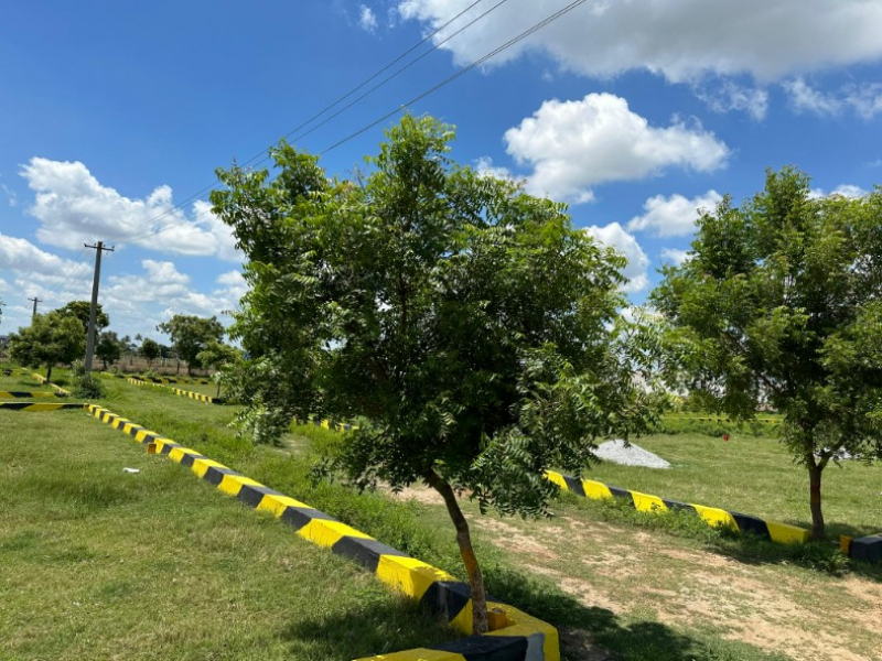 Sri Balaji Nagar