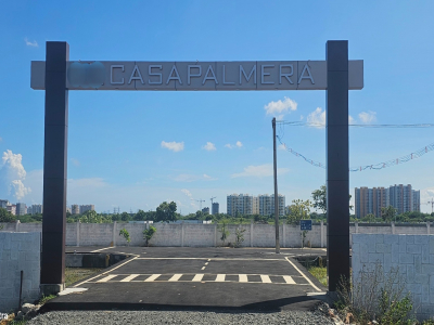 Casa Palmera