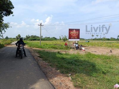 Livify Tidel Highway