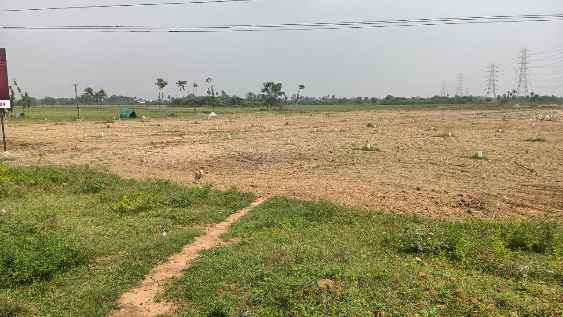 Livify Tidel Town
