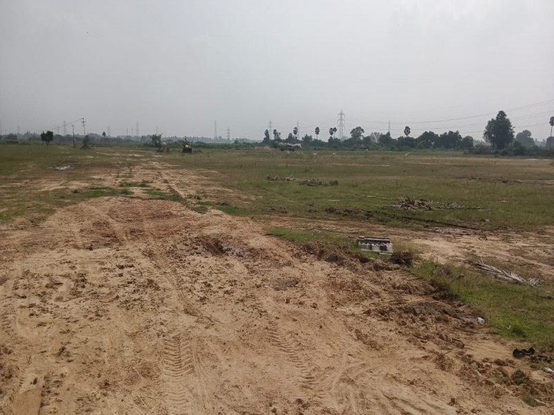 Livify Tidel Town