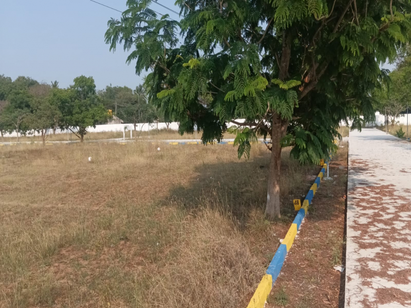 Rathis Nandhavanam
