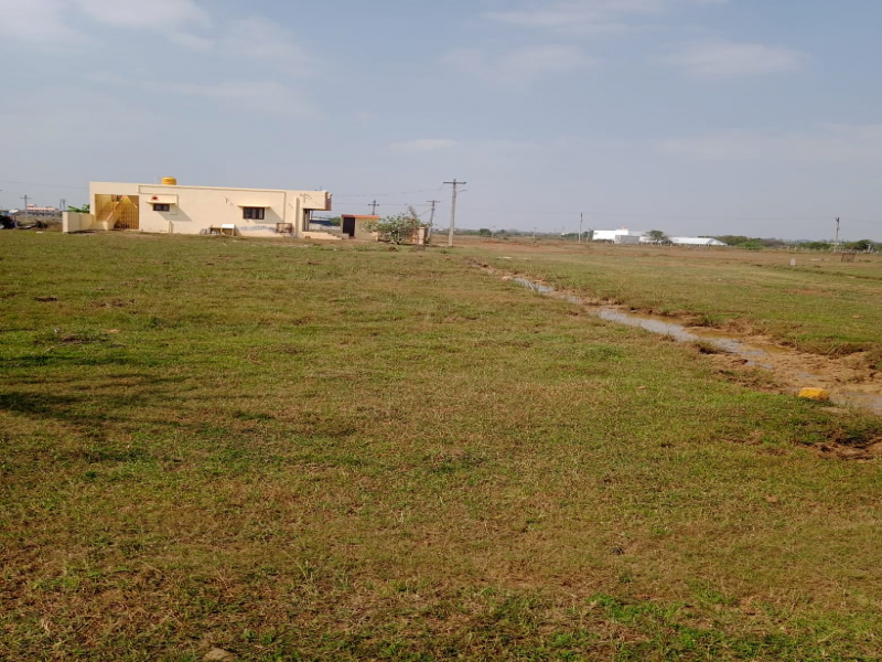 Pallavan Nagar