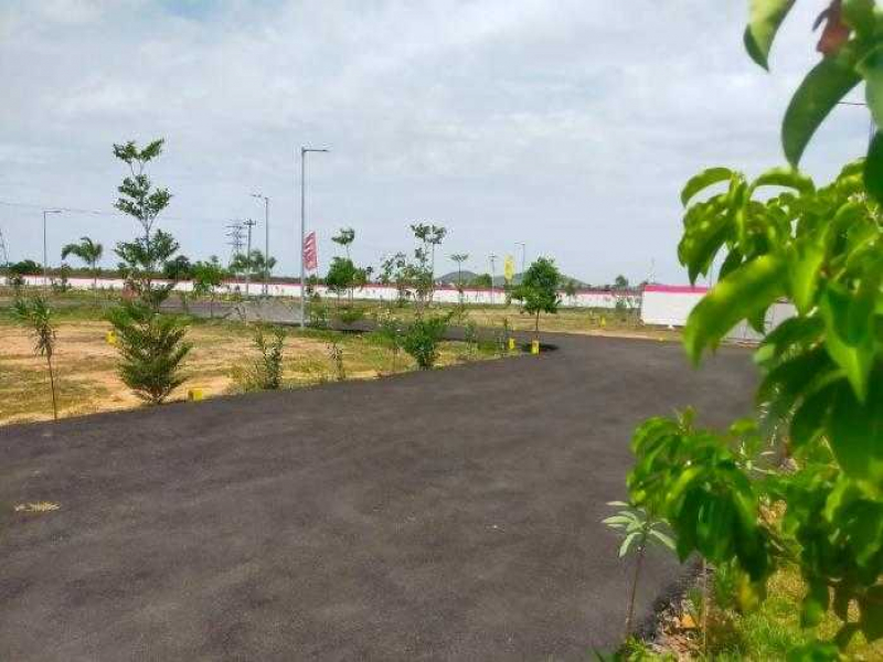 JJS Garden