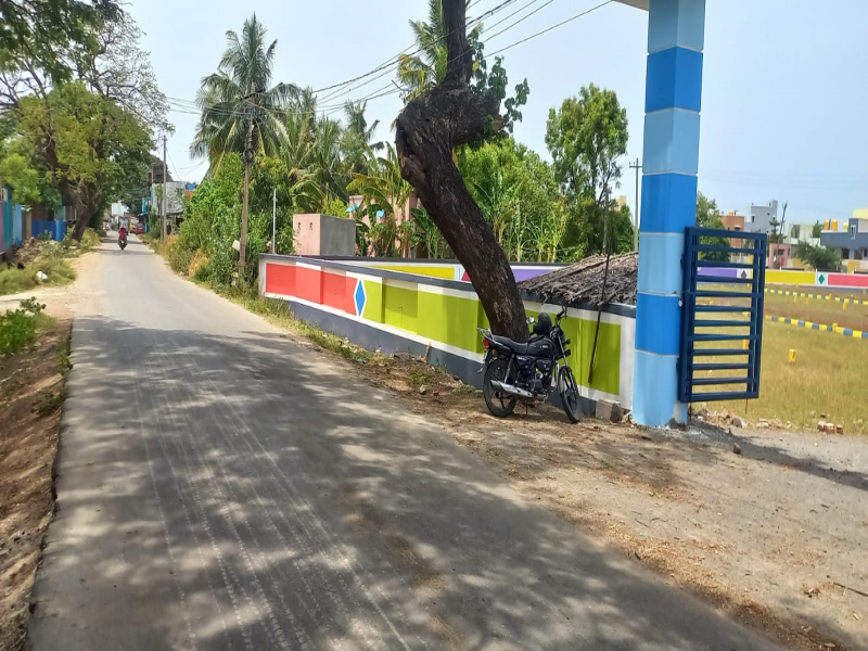 Premier MM Garden