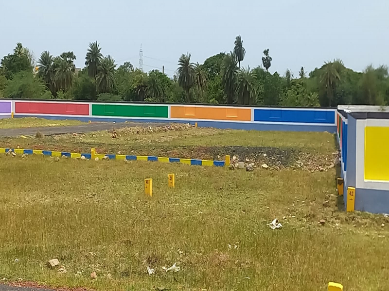 Premier MM Garden