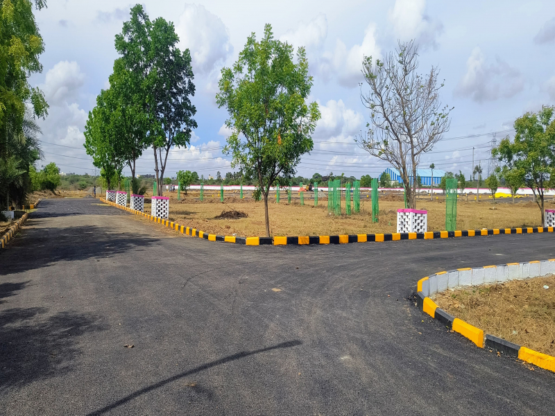 RK Avenue