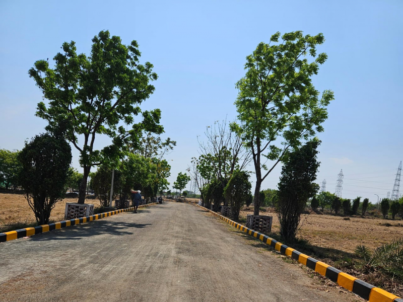 RK Avenue