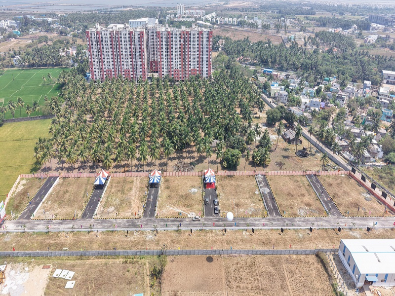 RPS Garden