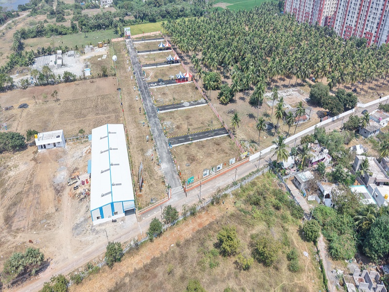 RPS Garden