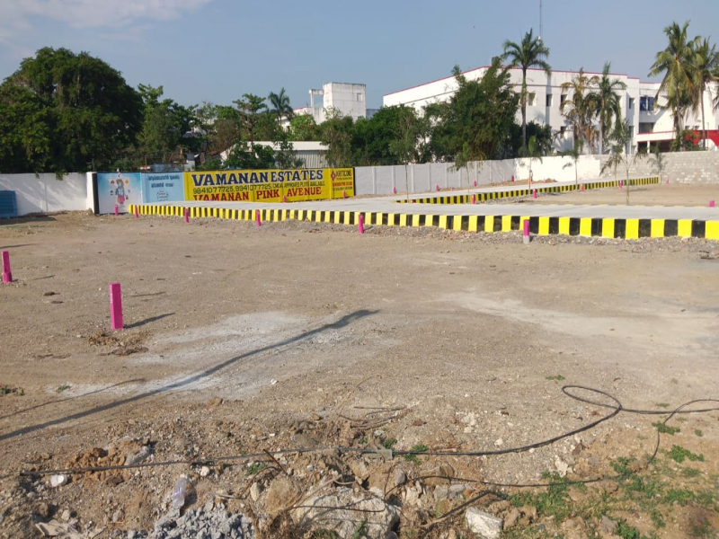 Vamanan Pink Avenue