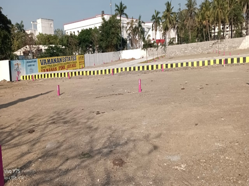 Vamanan Pink Avenue