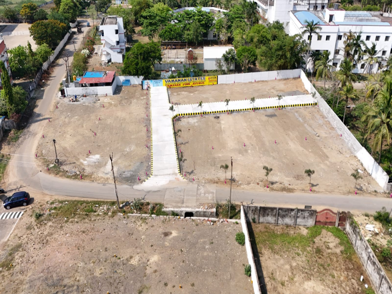 Vamanan Pink Avenue