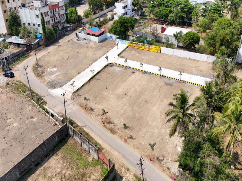 Vamanan Pink Avenue