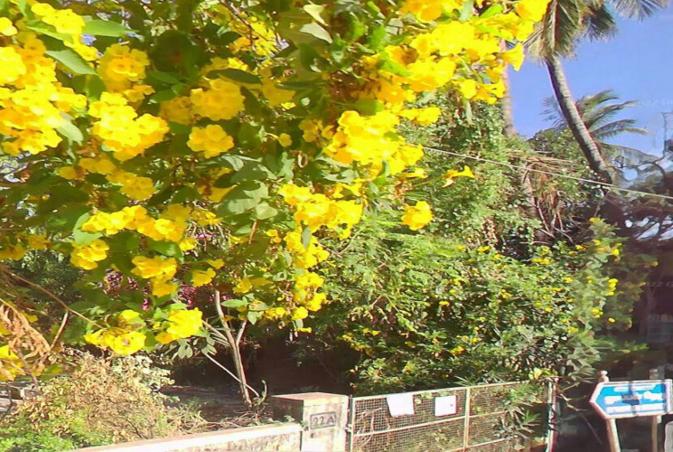 1785 Sq.Ft Land for sale in Tambaram East