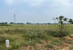 1500 Sq.Ft Land for sale in Thiruvallur