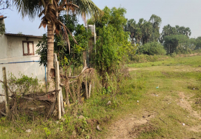 1480 Sq.Ft Land for sale in Padappai