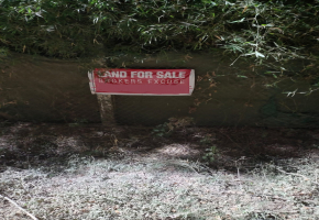 1800 Sq.Ft Land for sale in Thiruverkadu