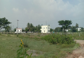 1235 Sq.Ft Land for sale in Guduvanchery