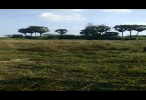 70 Cents Land for sale in Sriperumbudur