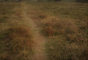 2400 Sq.Ft Land for sale in Avadi