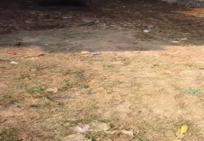 2040 Sq.Ft Land for sale in Perungalathur