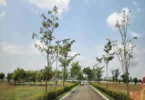 800 Sq.Ft Land for sale in Oragadam