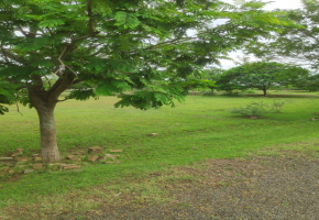 2400 Sq.Ft Land for sale in Singaperumal Koil